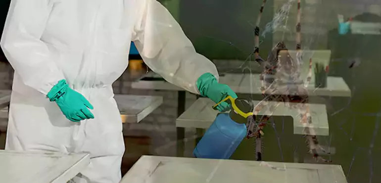 Why Buyers Still Want Homes With Pest Infestations in Moreno Valley, CA?