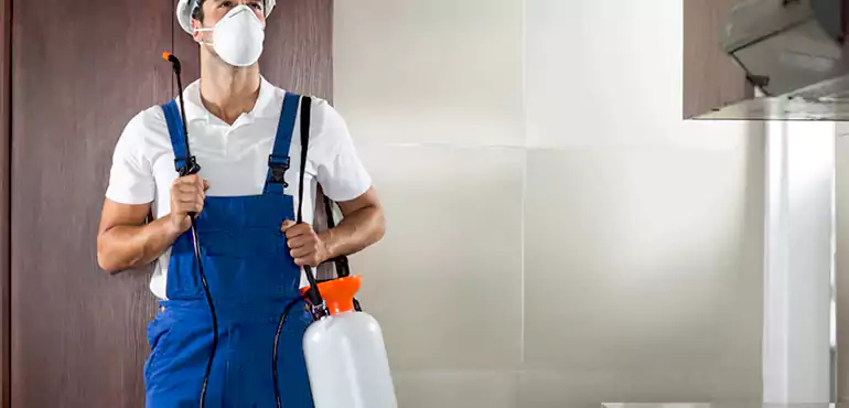 Why Moreno Valley Homeowners Choose Us When Pests Make Selling Difficult
